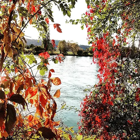 Cozy With 4 Bedrooms Near Zurich And Rhine Falls Apartmán